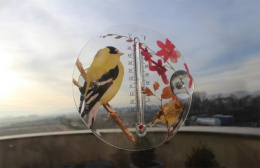Termometr Zewnętrzny Dekoracyjny Okrągły Transparentny Przyssawki Ptaki i Kwiaty Czerwone 16,5cm MAK6316 GardenLine