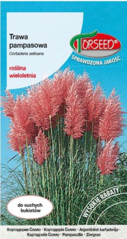 Nasiona Trawa Pampasowa Różowa 0,1g Cortaderia selloana