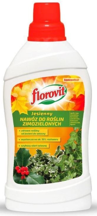 Nawóz jesienny w płynie do rośłin zimozielonych wzmacniający kondycję rośłin Florovit