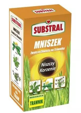 Mniszek na chwasty