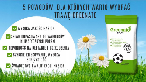 Trawa Sportowa Greenato Sport 1kg