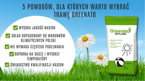 Trawa Odporna na Suszę Greenato Dryland 15kg