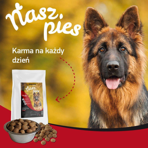 Karma Sucha Dla Psa z Wołowiną Nasz Pies Adult 15kg Biofeed