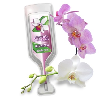Kapsułki Nawozowe Do Storczyków i Orchidei Aplikator Mineralne 30ml Substral