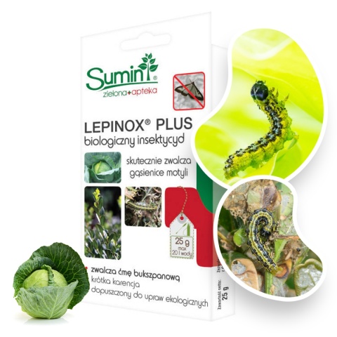 Lepinox Plus 25g Środek Do Zwalczania Ćmy Bukszpanowej i Gąsenic Motyli w Uprawach Roślin Sumin Lepinox Plus 25g Środek Do Zwalczania Ćmy Bukszpanowej i Gąsenic Motyli w Uprawach Roślin Sumin