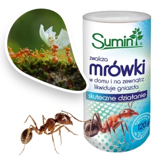 Mrówkozol 120g Proszek Środek Owadobójczy Na Mrówki Sumin