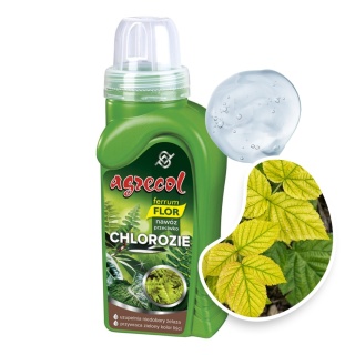 Nawóz Do Roślin Zielonych Przeciwko Chlorozie Mineralny Żel 300g Ferrum Flor Agrecol