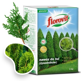Nawóz Do Tui Długodziałający 100 Dni Mineralny Granulat 1kg Karton Florovit