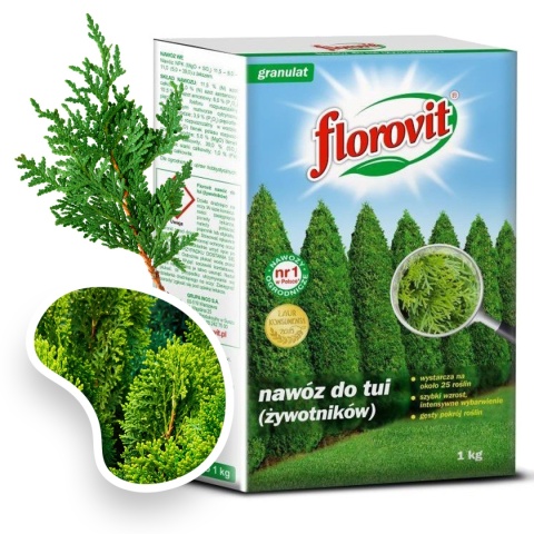 Nawóz Do Tui Długodziałający 100 Dni Mineralny Granulat 1kg Karton Florovit Nawóz Do Tui Długodziałający 100 Dni Mineralny Granulat 1kg Karton Florovit