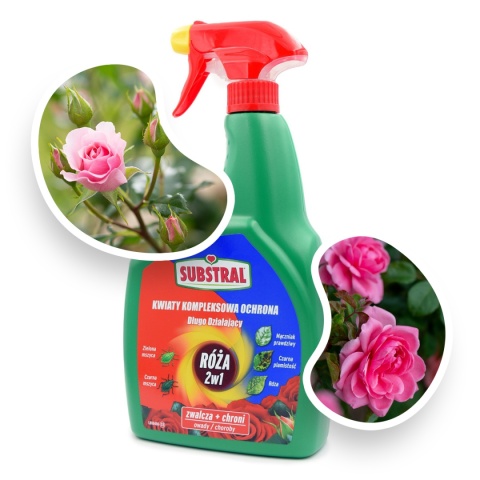 Róża 2w1 AL 800ml Spray Środek Owadobójczy i Grzybobójczy Do Zwalczania Szkodników i Chorób w Uprawach Roślin Substral Róża 2w1 AL 800ml Spray Środek Owadobójczy i Grzybobójczy Do Zwalczania Szkodników i Chorób w Uprawach Roślin Substral