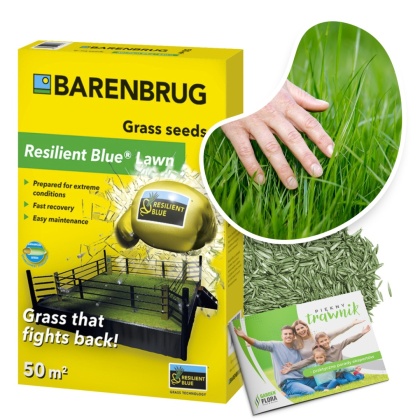 Trawa Na Ekstremalne Warunki Barenbrug Resilient Blue Lawn Otoczkowana 1kg