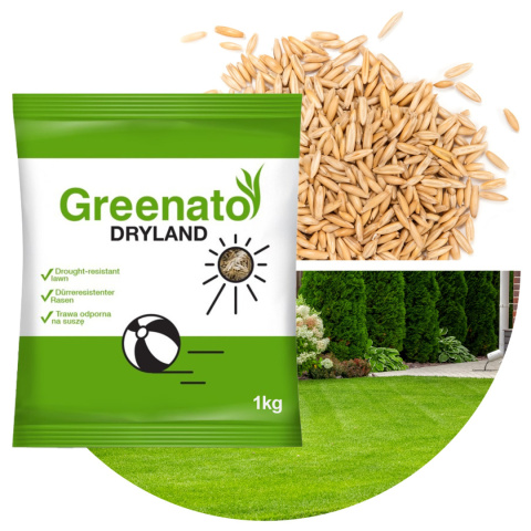 Trawa Odporna na Suszę Greenato Dryland 1kg