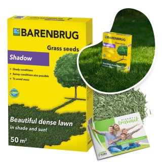 Trawa Ozdobna Barenbrug Shadow Otoczkowana 1kg
