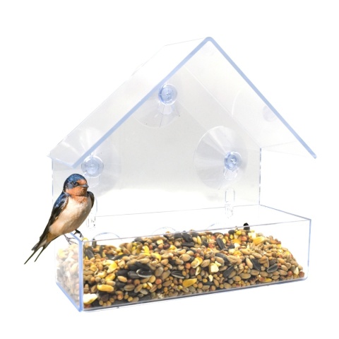 Karmnik Dla Ptaków Plastikowy z Przyssawką Dwuczęściowy Chomik