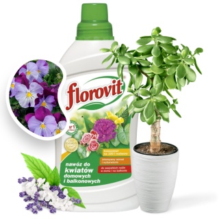 Nawóz Do Kwiatów Domowych i Balkonowych Mineralny Płynny 1L Florovit