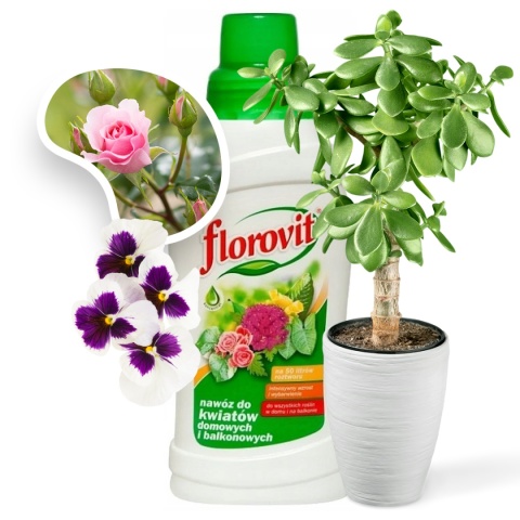 Nawóz Do Kwiatów Domowych i Balkonowych Mineralny Płynny 500ml Florovit Nawóz Do Kwiatów Domowych i Balkonowych Mineralny Płynny 500ml Florovit