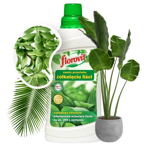 Nawóz Do Roślin Przeciw Żółknięciu Liści Mineralny Płynny 1l Florovit