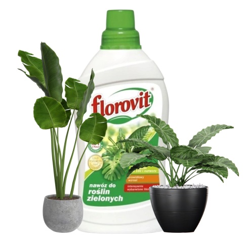 Nawóz Do Roślin Zielonych Mineralny Płynny 1L Florovit