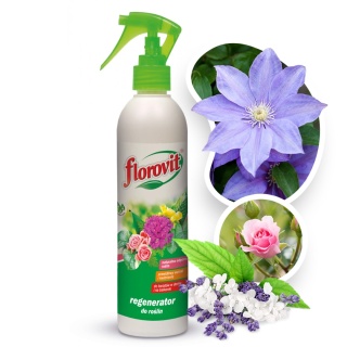 Nawóz Do Roślin Zielonych Regeneracyjny z Pompką Mineralny Płynny 250ml Florovit