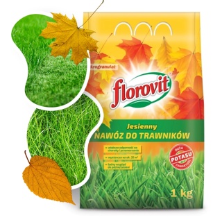 Nawóz Do Trawy Jesienny Mineralny Granulat 1kg Worek Florovit