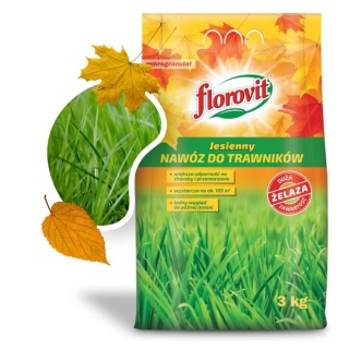 Nawóz Do Trawy Jesienny Mineralny Granulat 3kg Florovit
