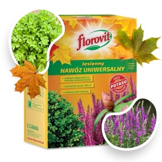 Nawóz Uniwersalny Jesienny Mineralny Granulat 1kg Karton Florovit