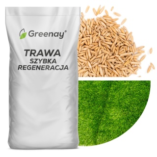 Trawa Regeneracyjna Greenay 5kg